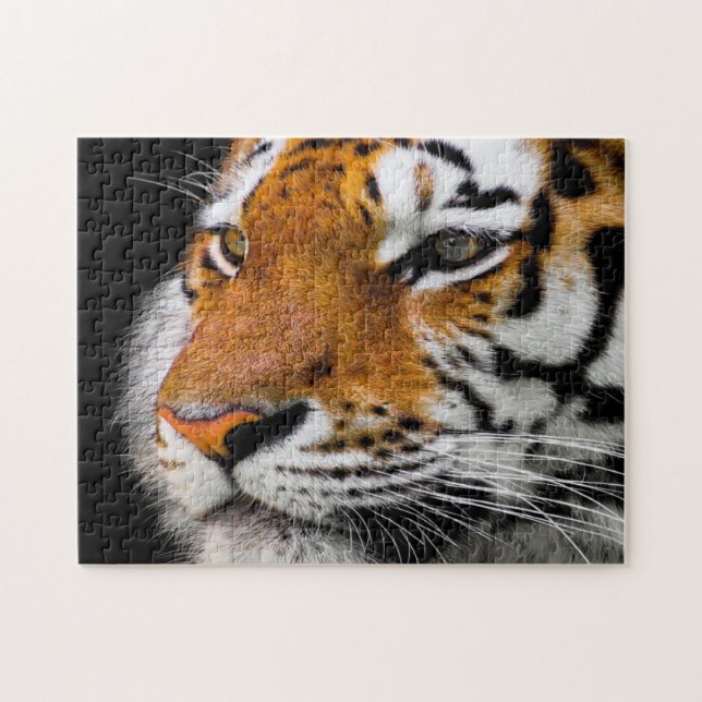 Puzzle Cara seria de tigre (Horizontal)