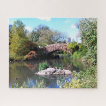 Característica de Agua Central Park Nueva York