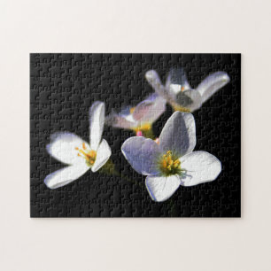 Puzzle Cardamine Pratensis Flores 11x14 252pc jpcna