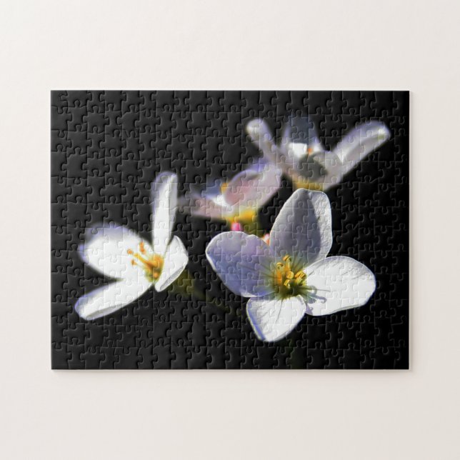 Puzzle Cardamine Pratensis Flores 11x14 252pc jpcna (Horizontal)