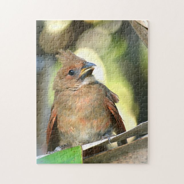 Puzzle Cardenal Bird Fotográfica (Vertical)