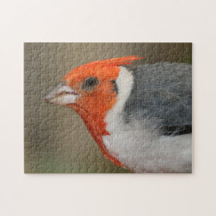 Puzzle Cardenal con cresta rojo