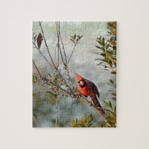 Puzzle Cardenal del Norte en Wax Myrtle