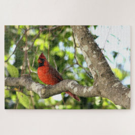 Puzzle Cardenal en fotografía de árbol