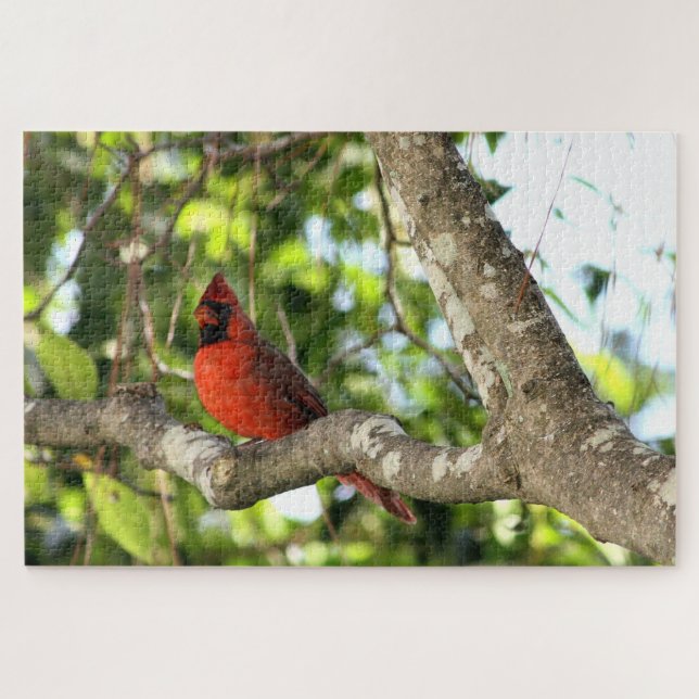 Puzzle Cardenal en fotografía de árbol (Horizontal)