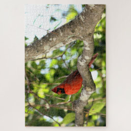 Puzzle Cardenal en fotografía de árbol