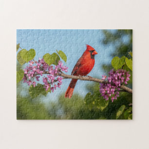 Puzzle Cardenal en una rama de Redbud