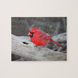 Puzzle Cardenal en Woods