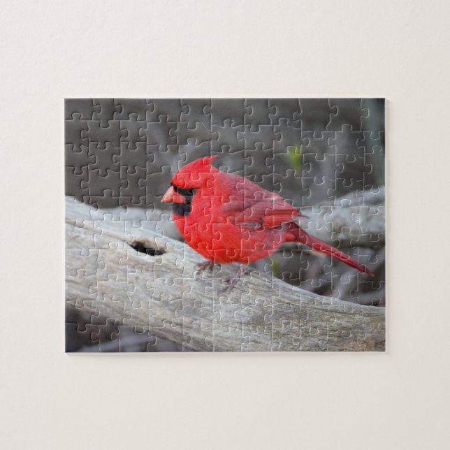 Puzzle Cardenal en Woods (Horizontal)