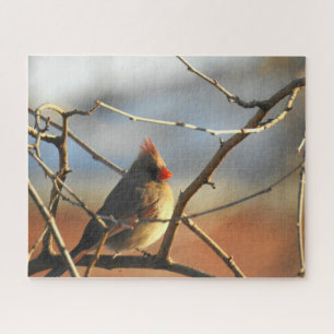 Puzzle Cardenal femenino encarchado