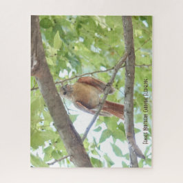 Puzzle Cardenal Fledgling, amante de las aves