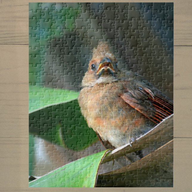 Puzzle Cardenal Fotográfico en marcha (Subido por el creador)