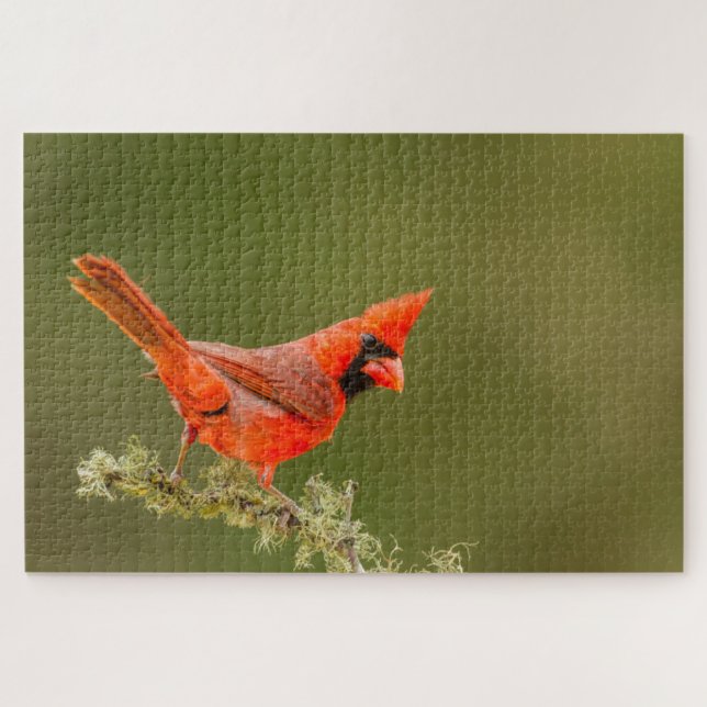 Puzzle Cardenal macho en rama (Horizontal)