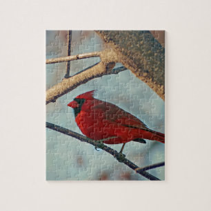 Puzzle Cardenal masculino de bonito