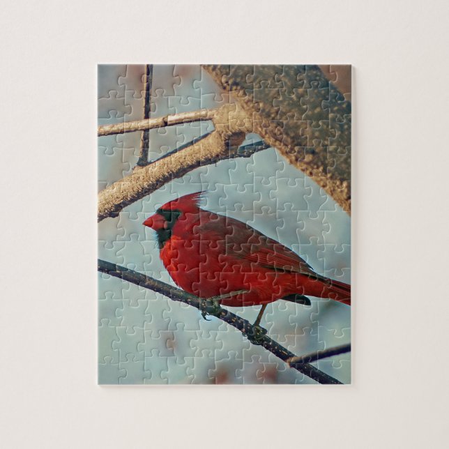 Puzzle Cardenal masculino de bonito (Vertical)