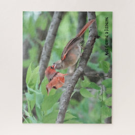 Puzzle Cardenal masculino y de flor, amante de las aves
