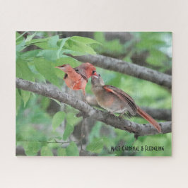 Puzzle Cardenal masculino y de flor, amante de las aves