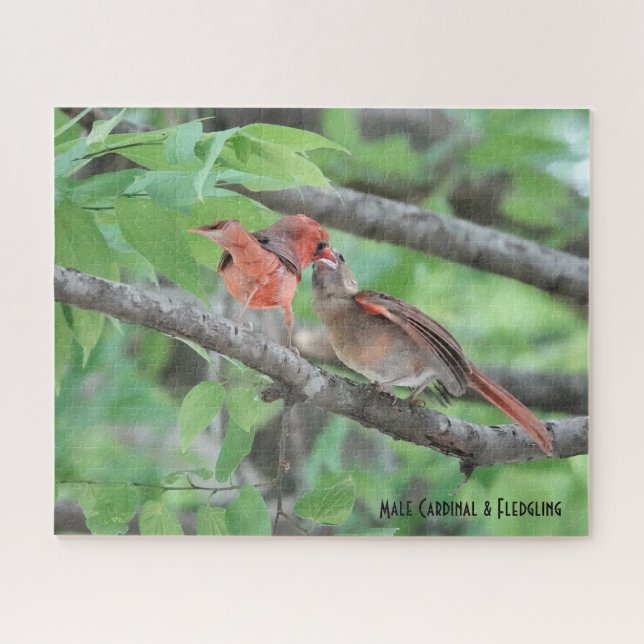 Puzzle Cardenal masculino y de flor, amante de las aves (Horizontal)