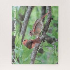 Puzzle Cardenal masculino y de flor, amante de las aves