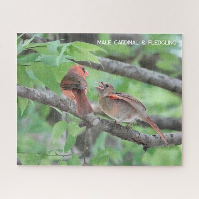 Puzzle Cardenal masculino y de flor, amante de las aves (Horizontal)