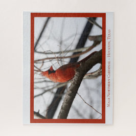 Puzzle Cardenal norte masculino; amante de los pájaros