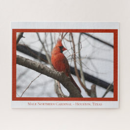 Puzzle Cardenal norte masculino; amante de los pájaros