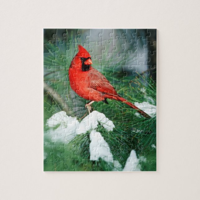 Puzzle Cardenal norteño macho en árbol, IL (Vertical)