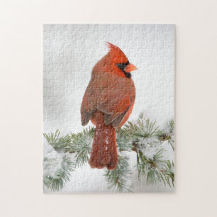 Puzzle Cardenal norteño macho en Cedro Atlas Azul