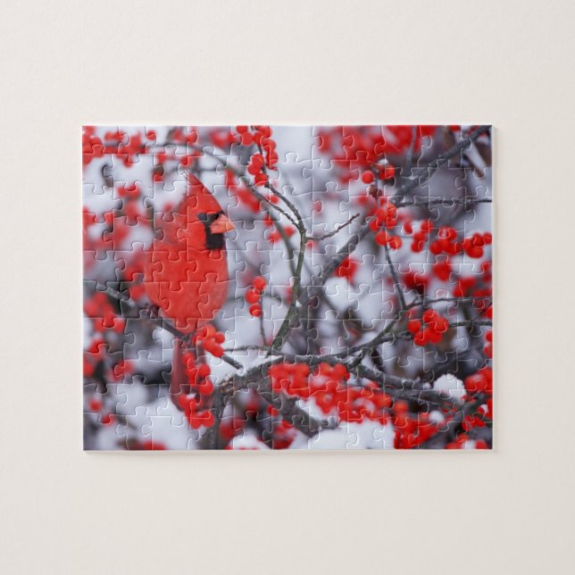 Puzzle Cardenal norteño macho, Invierno, IL (Horizontal)