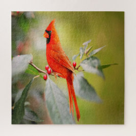 Puzzle Cardenal rojo brillante