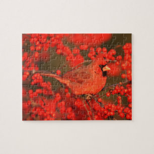 Puzzle Cardenal rojo del norte macho, IL