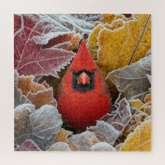 Puzzle Cardenal Rojo en Hojas de Otoño Heladas (Vertical)