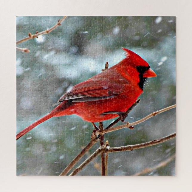 Puzzle Cardenal rojo en la nieve (Vertical)