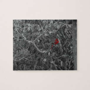 Puzzle Cardenal rojo en un árbol negro y blanco