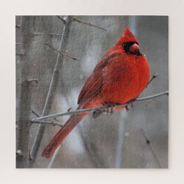 Puzzle Cardenal rojo vivo y brillante en nieve de inviern (Vertical)