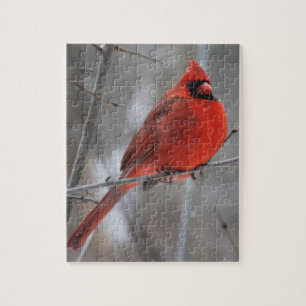 Puzzle Cardenal rojo vivo y brillante en nieve de inviern