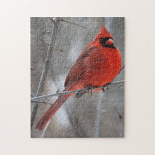 Puzzle Cardenal rojo vivo y brillante en nieve de inviern