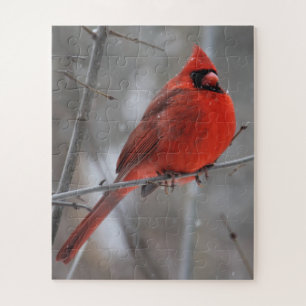 Puzzle Cardenal rojo vivo y brillante en nieve de inviern