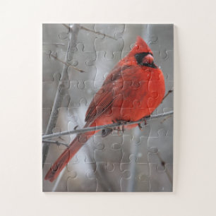 Puzzle Cardenal rojo vivo y brillante en nieve de inviern