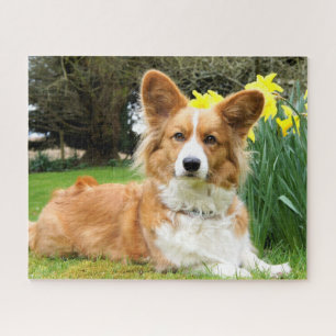 Puzzle Cardigan Welsh Corgi Dog