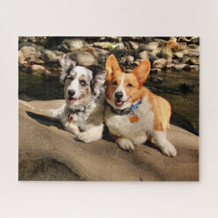 Puzzle Cardigan y Pembroke Welsh Corgis