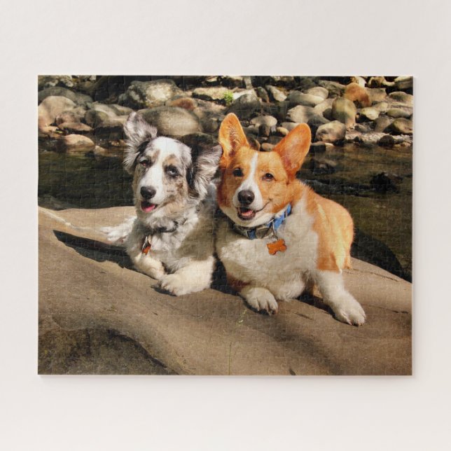 Puzzle Cardigan y Pembroke Welsh Corgis (Horizontal)