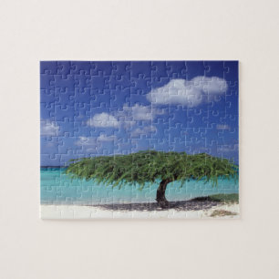 Puzzle Caribe, Aruba. Playa Eagle