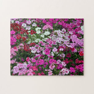 Puzzle Carnaciones rosas
