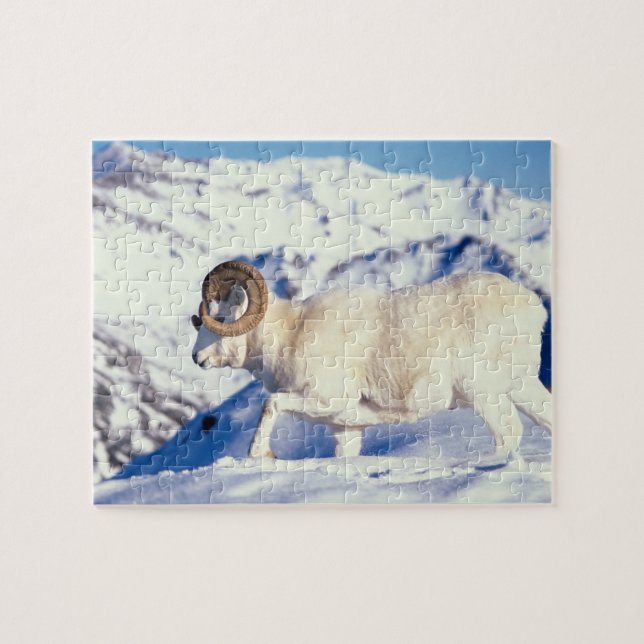 Puzzle carnero de Dall, Ovis dalli, carnero de cuerno com (Horizontal)