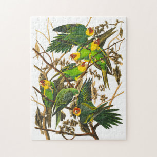 Puzzle Carolina Parrot de John James Audubon
