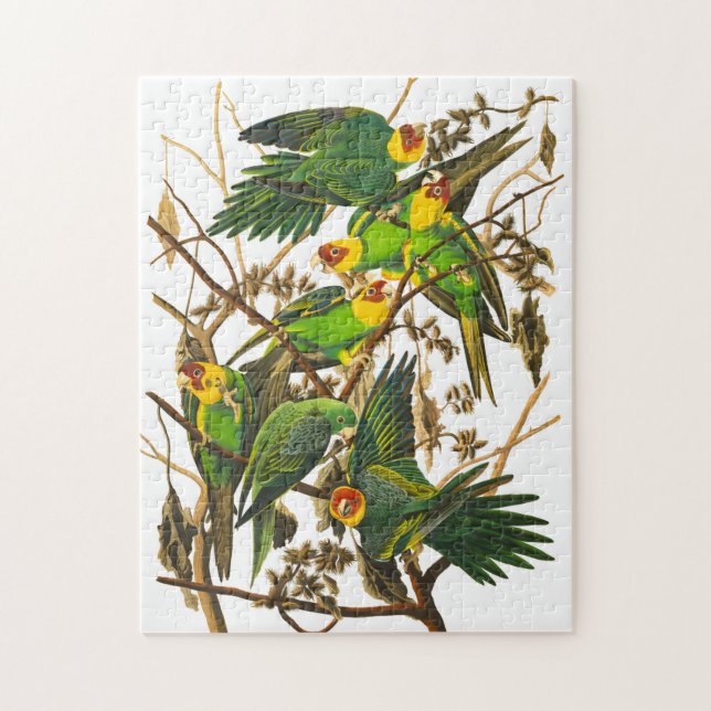 Puzzle Carolina Parrot de John James Audubon (Vertical)