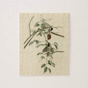 Puzzle Carolina Titmouse de Aves de América de Audubon