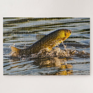 Puzzle Carpa Saltarina de Hierba