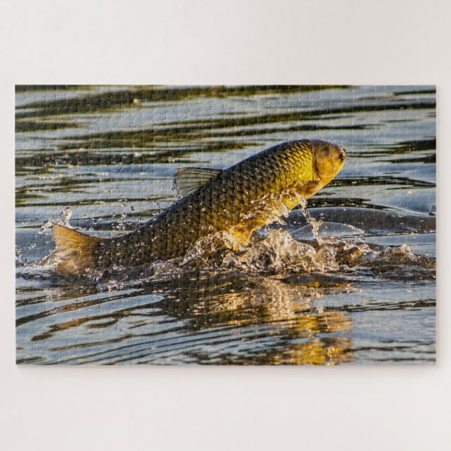 Puzzle Carpa Saltarina de Hierba (Horizontal)